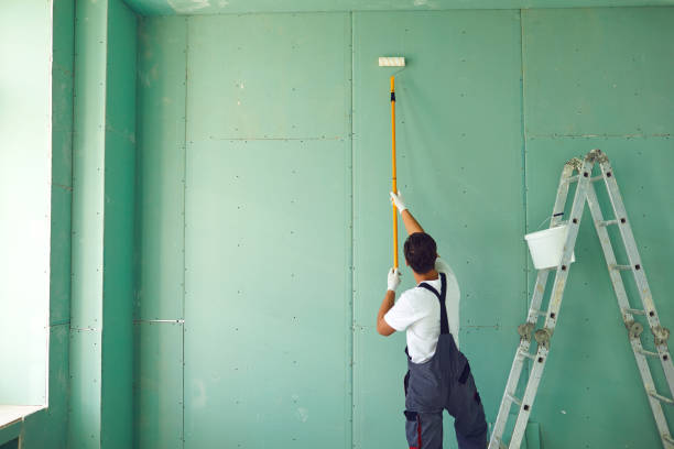 Best Water Damage & Mold Remediation  in Cambridge, IL