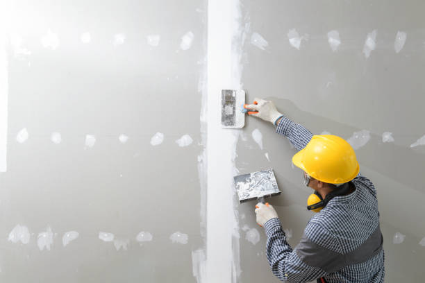 Best Dehumidification Services  in Cambridge, IL
