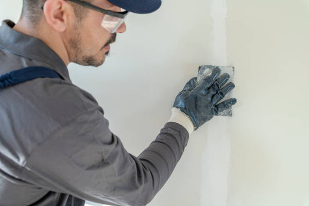 Best Mold Odor Removal Services  in Cambridge, IL