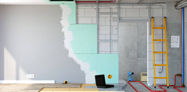 Best Post-Construction Mold Inspection  in Cambridge, IL