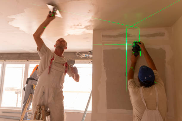 Best Mold Odor Removal Services  in Cambridge, IL