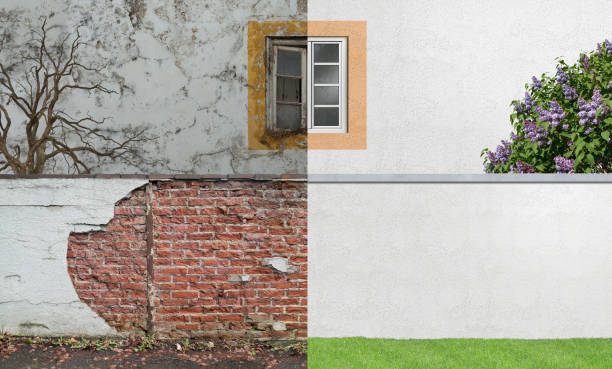 Best Mold Documentation for Insurance Claims  in Cambridge, IL