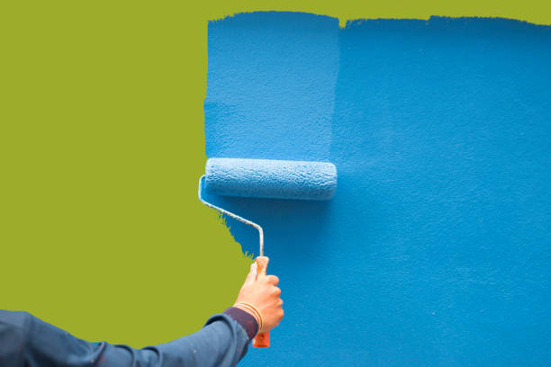 Best Post-Construction Mold Inspection  in Cambridge, IL